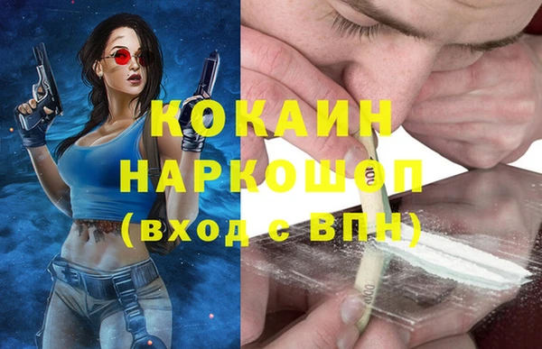 сатива Арсеньев