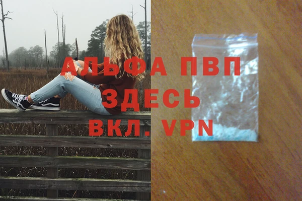 сатива Арсеньев