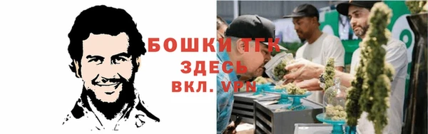 сатива Арсеньев