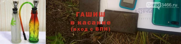 сатива Арсеньев