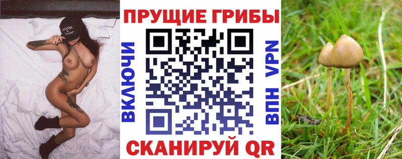 Галлюциногенные грибы мицелий  где продают   Макаров 